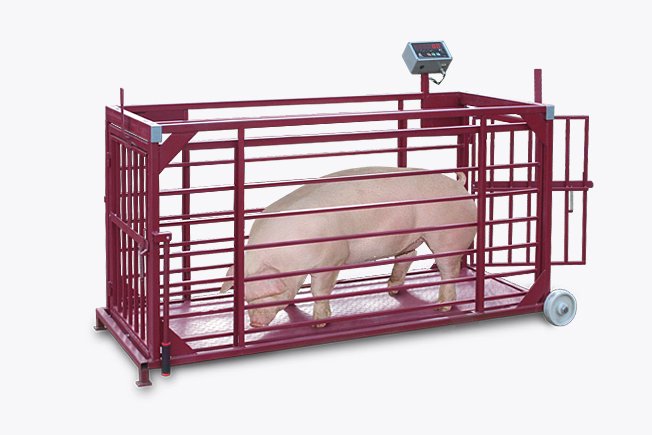 Весы платформенные с подвесной клеткой для взвешивания животных, ВП-ЖК